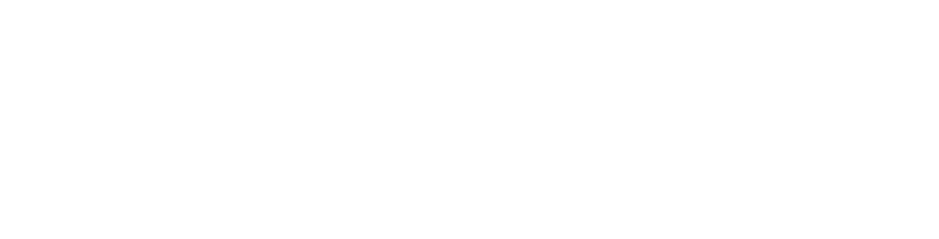 Ultra Express DZ Logo